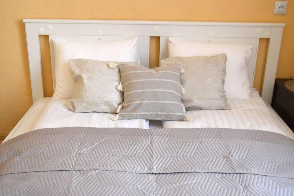 Spacious Old Town Family Peachy 2 Bedrooms Apartment, Nearby The Riga Presidential Castle Buitenkant foto