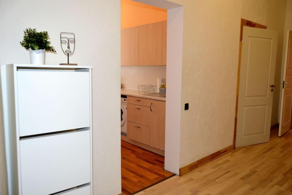 Spacious Old Town Family Peachy 2 Bedrooms Apartment, Nearby The Riga Presidential Castle Buitenkant foto
